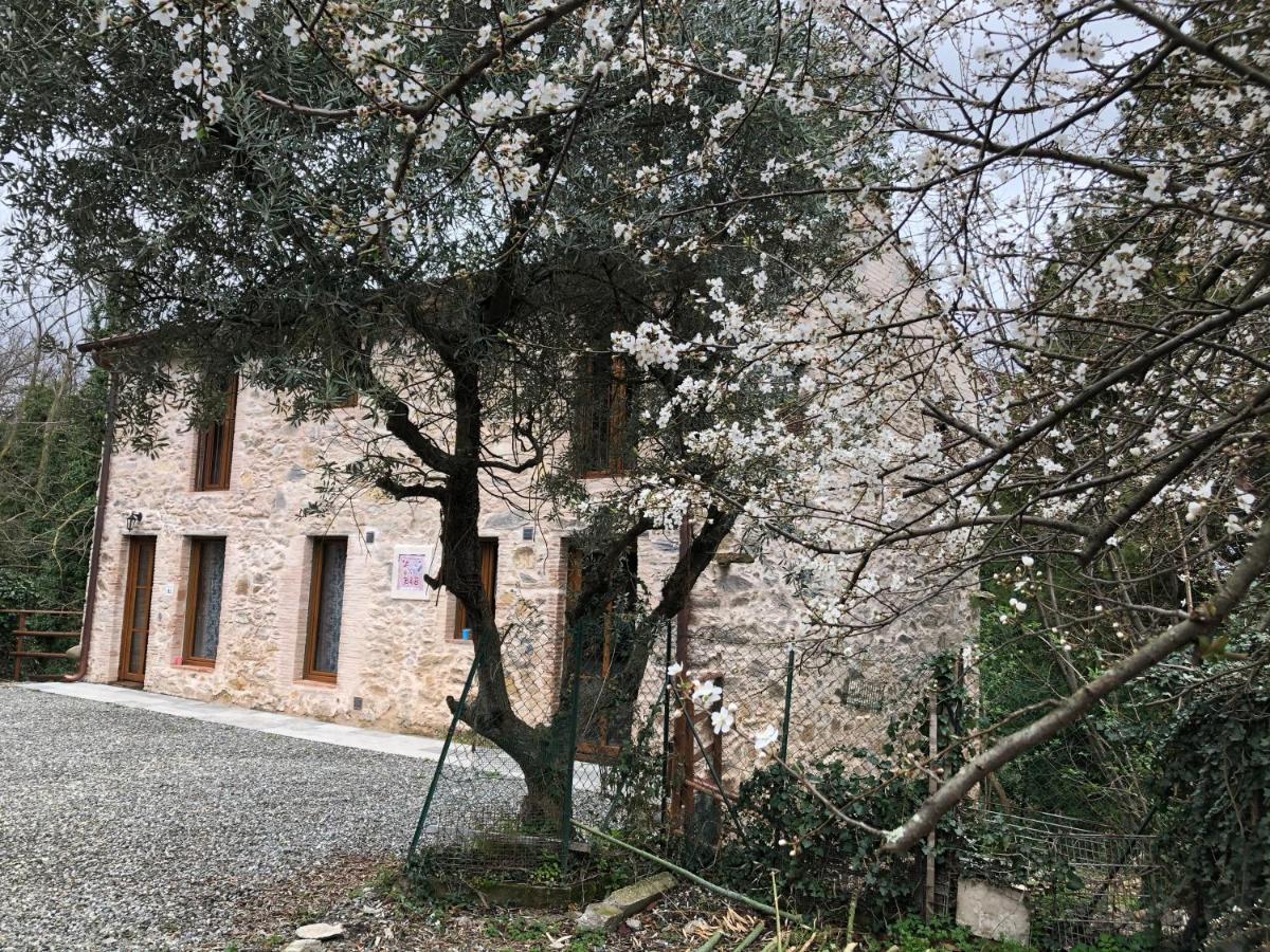 Dolce Vita In Tuscany Cottage كابانّوري المظهر الخارجي الصورة