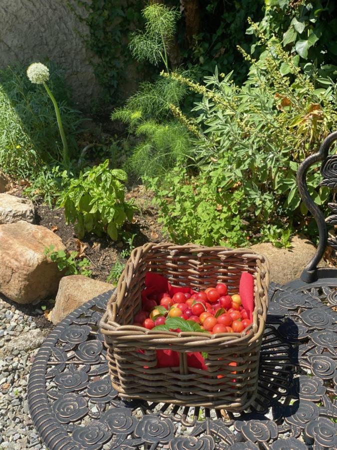 Dolce Vita In Tuscany Cottage كابانّوري المظهر الخارجي الصورة