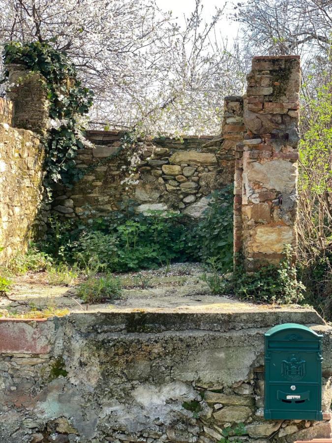 Dolce Vita In Tuscany Cottage كابانّوري المظهر الخارجي الصورة