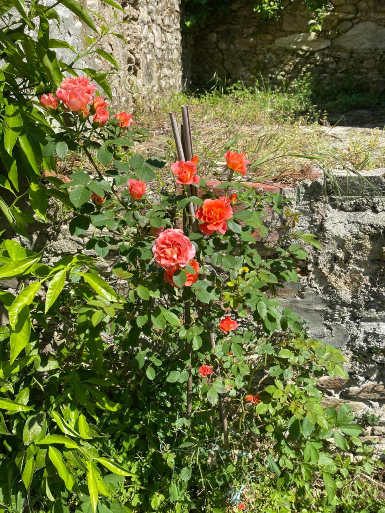 Dolce Vita In Tuscany Cottage كابانّوري المظهر الخارجي الصورة