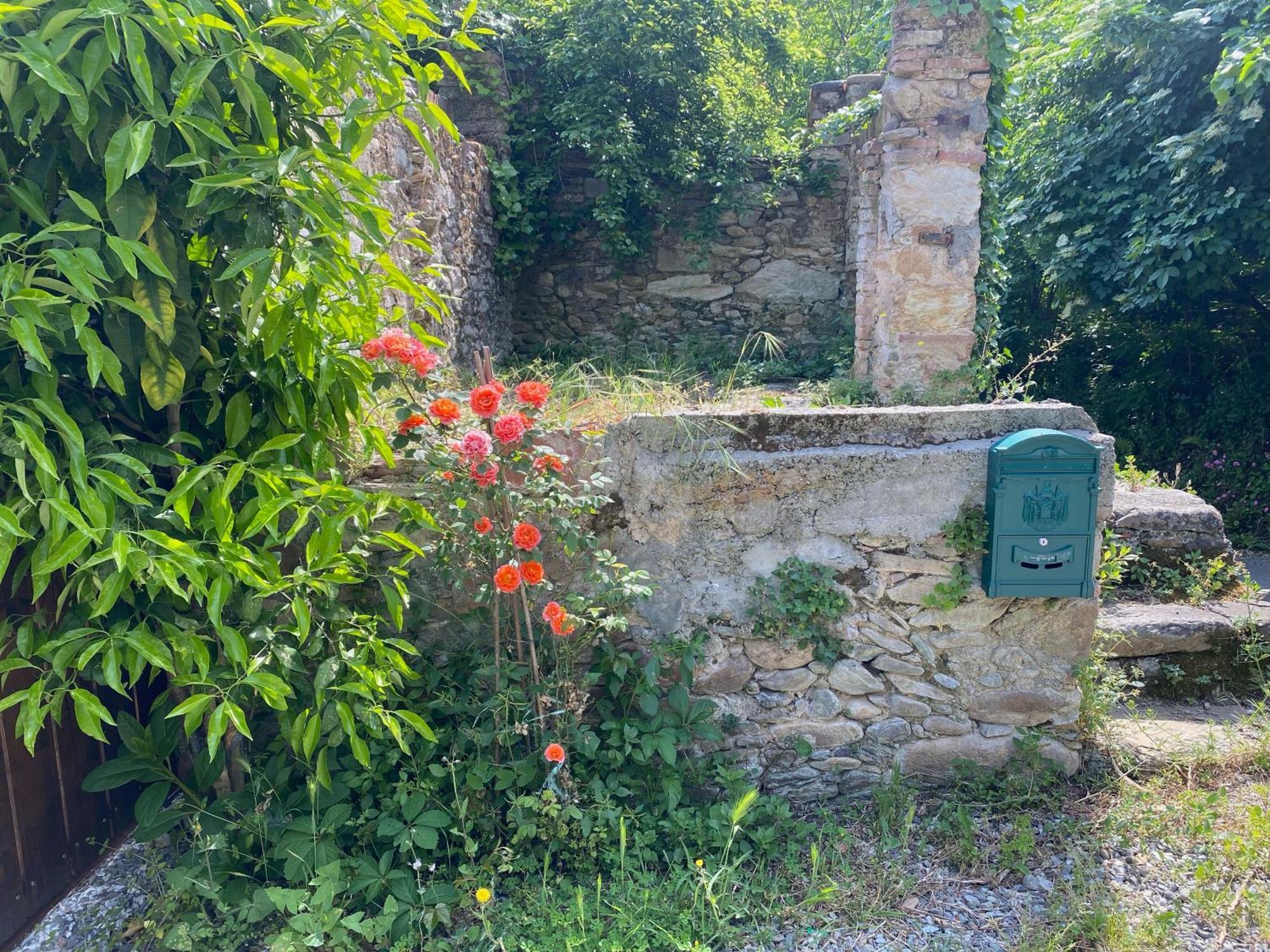 Dolce Vita In Tuscany Cottage كابانّوري المظهر الخارجي الصورة