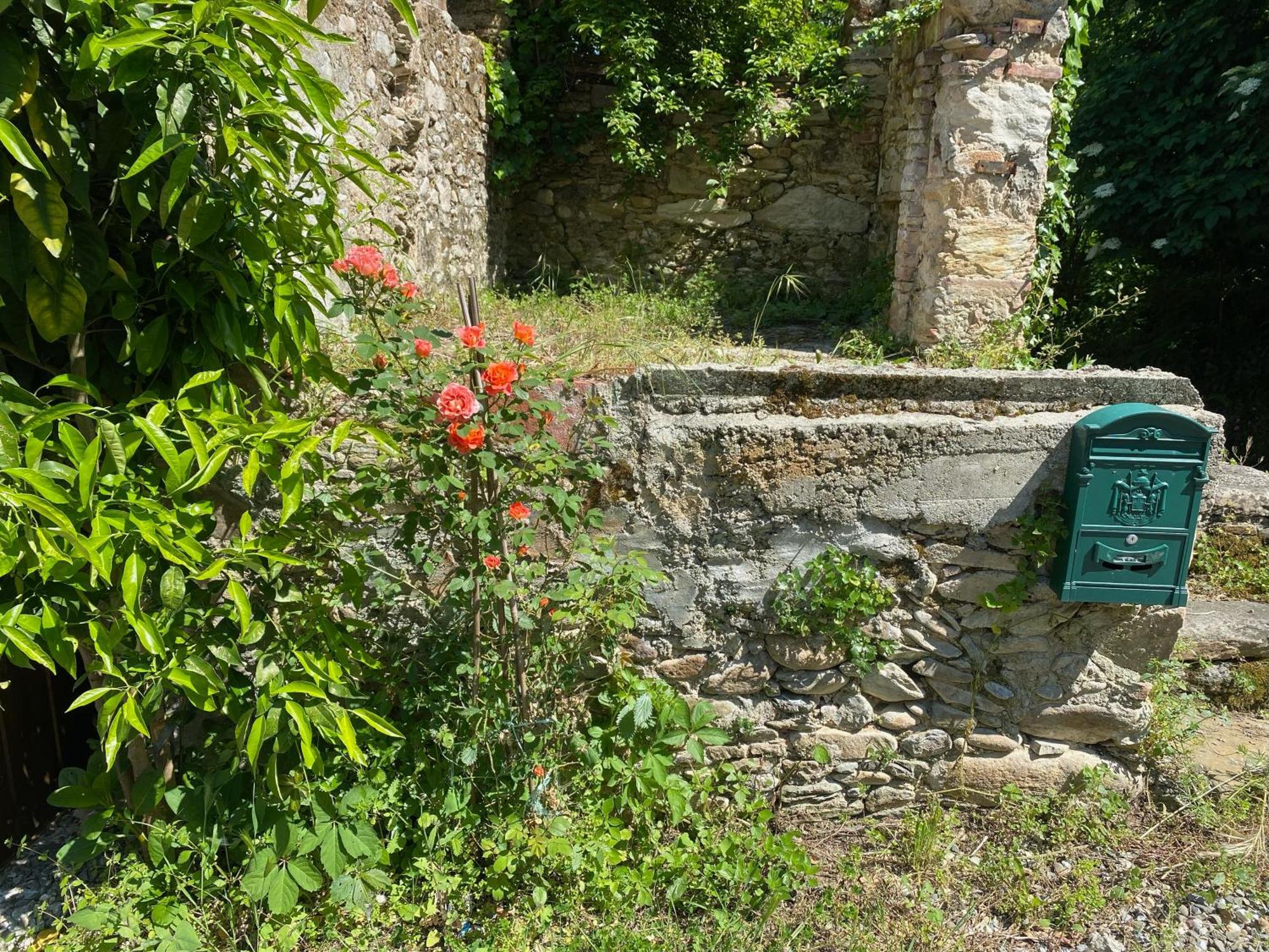 Dolce Vita In Tuscany Cottage كابانّوري المظهر الخارجي الصورة